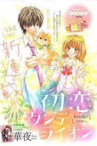 Hatsukoi Dandelion Manga cover