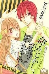 Inochi Mijikashi, Koiseyo Furyou Shounen! Manga cover
