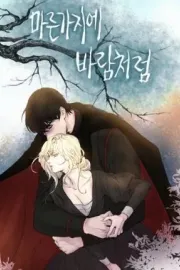 Like Wind on a Dry Branch Manhwa cover