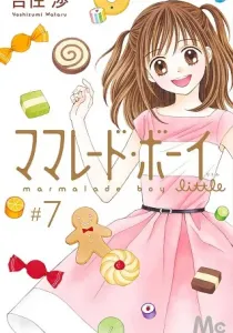 Marmalade Boy Little Manga cover