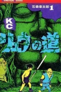 Ryuu no Michi Manga cover