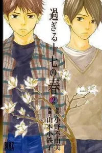 Sugiru Juunana no Haru Manga cover