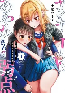 Yankee JK Ayaka-san no Jakuten Manga cover
