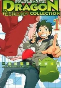 Dragon Collection: Ryuu wo Suberumono Manga cover